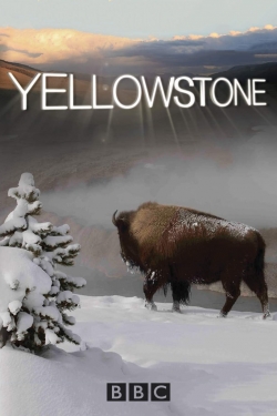 watch-Yellowstone