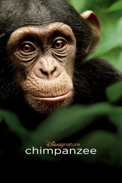 watch-Chimpanzee