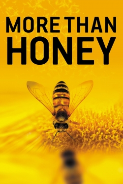 watch-More Than Honey