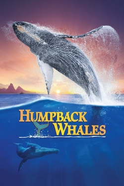 watch-Humpback Whales