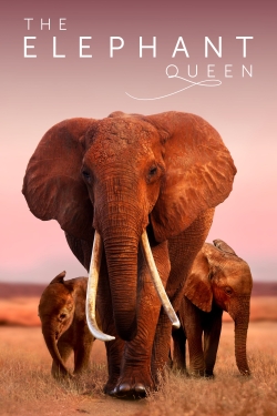 watch-The Elephant Queen
