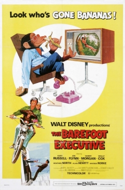watch-The Barefoot Executive