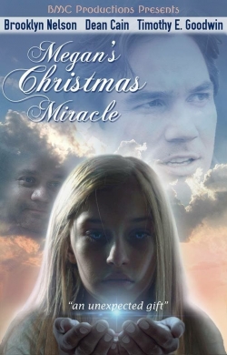watch-Megan's Christmas Miracle
