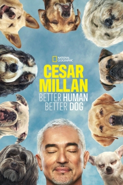 watch-Cesar Millan: Better Human, Better Dog