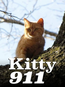 watch-Kitty 911