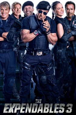 watch-The Expendables 3