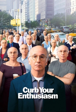 watch-Larry David: Curb Your Enthusiasm