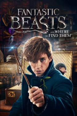 watch-Fantastic Beasts and Where to Find Them
