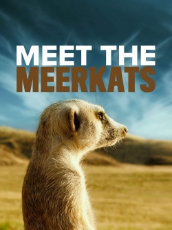 watch-Meet The Meerkats