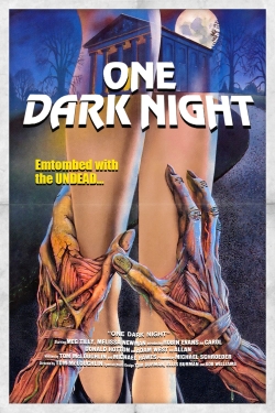 watch-One Dark Night