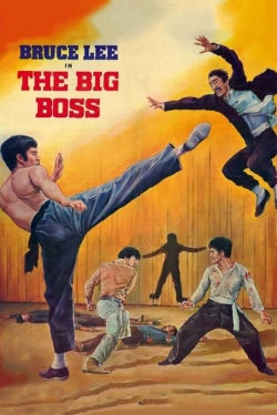 watch-The Big Boss